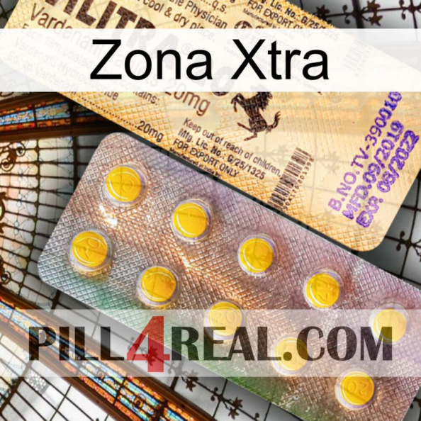 Xtra Zone new06.jpg